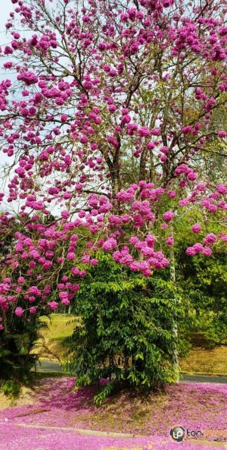 Piccola Pousada Águas de São Pedro Dış mekan fotoğraf
